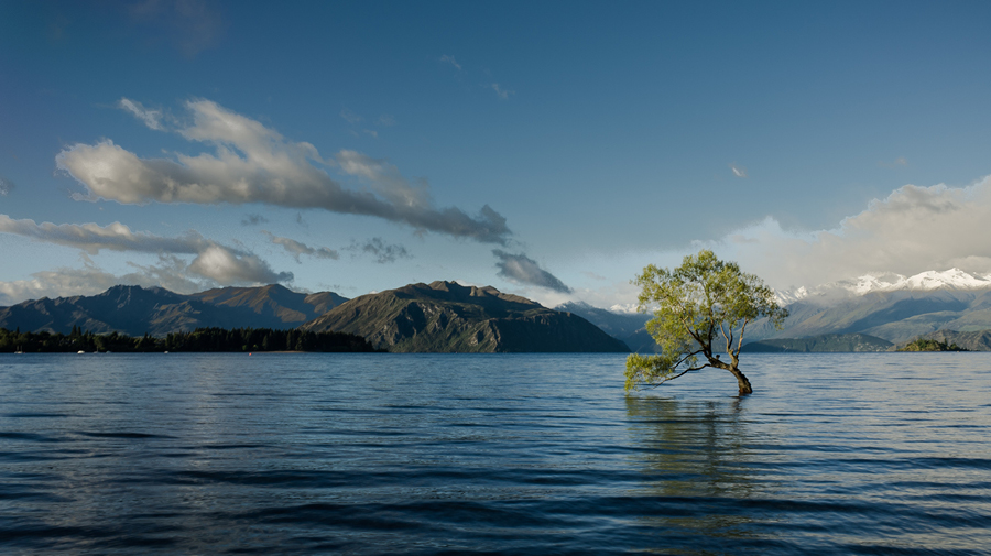 A Healthy Society Requires a Healthy Planet